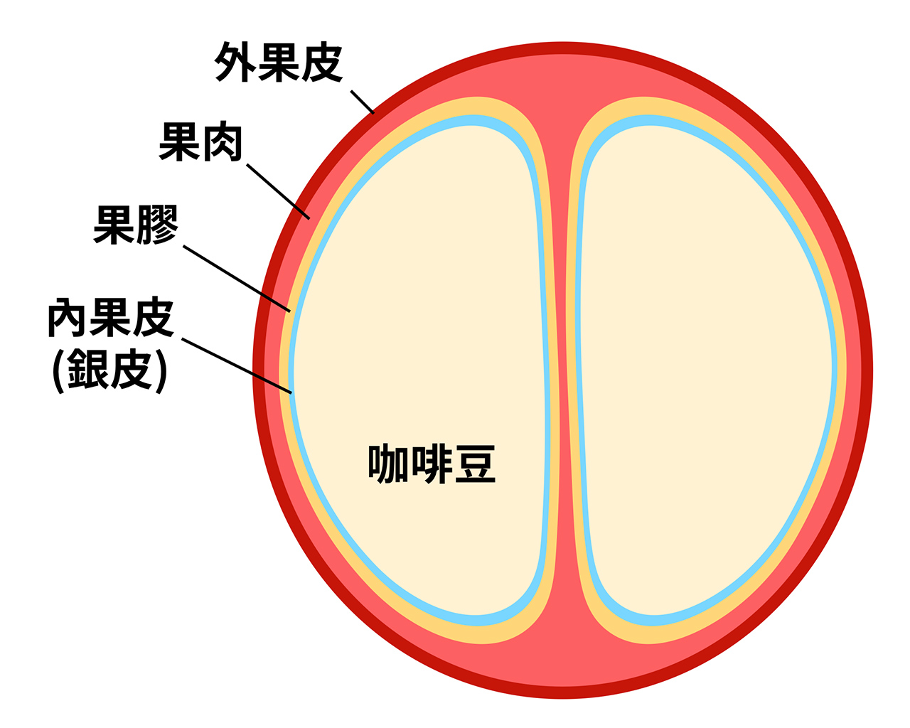 咖啡豆